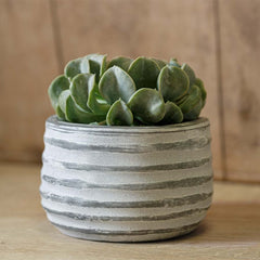 Campania Etage Planter Grey and Whitewash – Set of 6