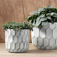 Photo of Campania Polygon Planter Set of 8 - Marquis Gardens