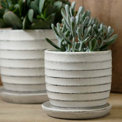 Photo of Campania Parallel Planter Set of 8 - Marquis Gardens