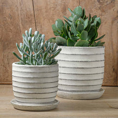 Photo of Campania Parallel Planter Set of 8 - Marquis Gardens