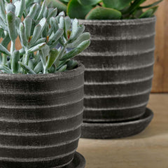 Photo of Campania Parallel Planter Set of 8 - Marquis Gardens