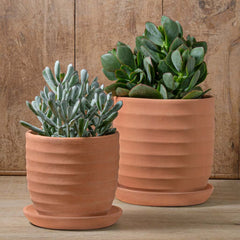 Photo of Campania Parallel Planter Set of 8 - Marquis Gardens