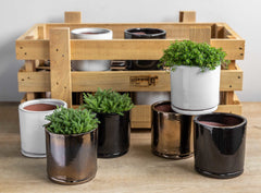 Photo of Campania Small Cylinder Planter Crate Set of 16 - Marquis Gardens