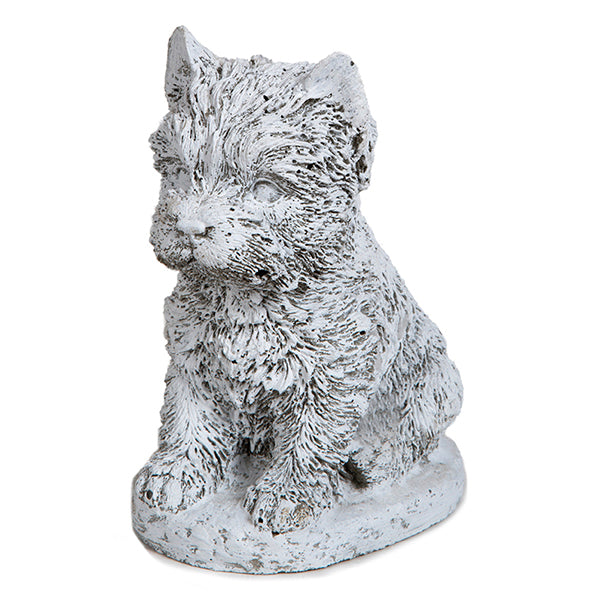 Photo of Small Terrier - Marquis Gardens