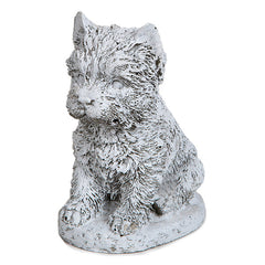 Photo of Small Terrier - Marquis Gardens