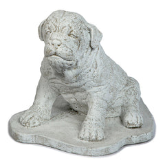 Photo of Pug Dog - Marquis Gardens