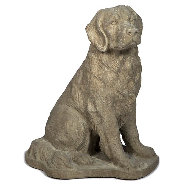 Photo of Large Dog - Marquis Gardens