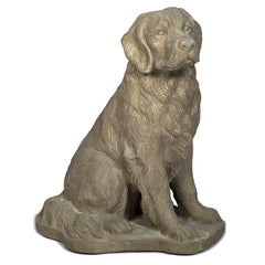 Photo of Large Dog - Marquis Gardens