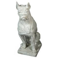 Photo of Boxer Dog - Marquis Gardens