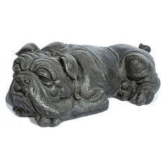 Photo of Small Laying Boxer - Marquis Gardens