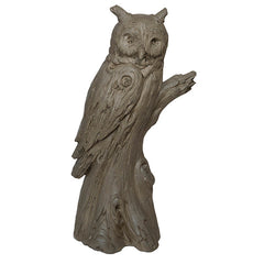 Photo of Woodlike Owl - Marquis Gardens