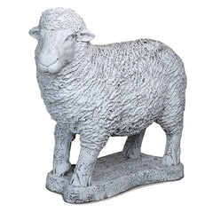 Photo of Standing Sheep - Marquis Gardens