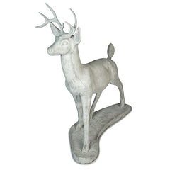 Photo of Large Buck - Marquis Gardens