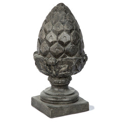 Photo of Small Pineapple - Marquis Gardens