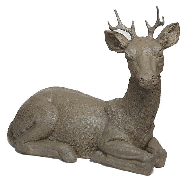 Photo of Laying Buck - Marquis Gardens