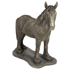 Photo of Clydesdale - Marquis Gardens