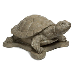 Photo of Turtle (new) - Marquis Gardens