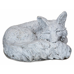 Photo of Curled Fox - Marquis Gardens