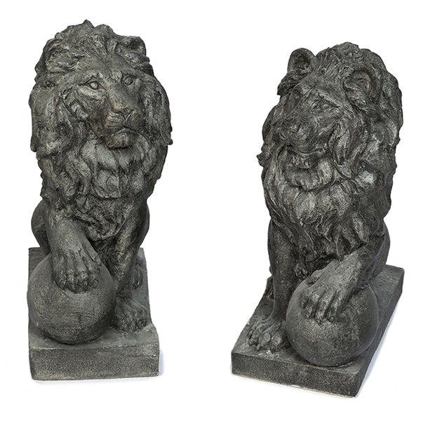 Photo of Lion Right / Left Paw on Ball - Marquis Gardens