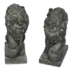 Photo of Lion Right / Left Paw on Ball - Marquis Gardens