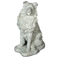 Photo of Collie Dog - Marquis Gardens