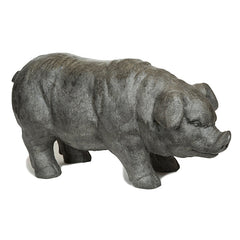Photo of Pig - Marquis Gardens