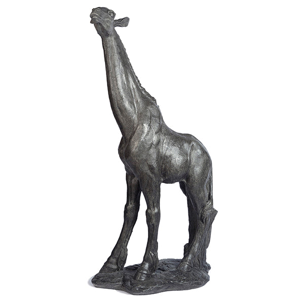 Photo of Giraffe - Marquis Gardens