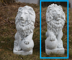 Photo of Lion Right / Left Paw on Ball - Marquis Gardens