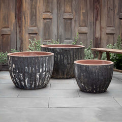 Campania Velia Planter  Vicolo Noir