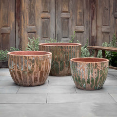 Campania Velia Planter