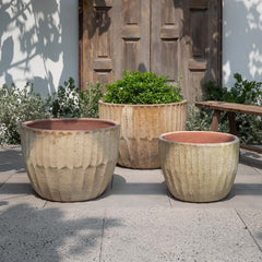 Campania Velia Planter