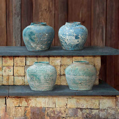 Paolo Planter
