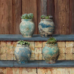 Aurelio Planter
