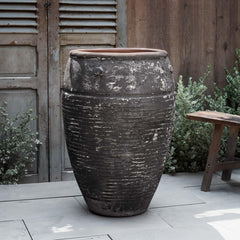 Campania Catania Jar  Vicolo Noir