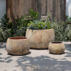 Campania Anselmo Planter  Vicolo Muro