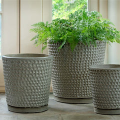 Campania I/O Coin Pot  Pewter Green