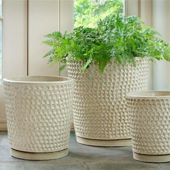 Campania I/O Coin Pot  Cream