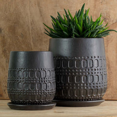 Campania Mojave Planter