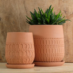 Campania Mojave Planter