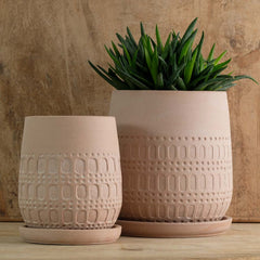 Campania Mojave Planter  Shell