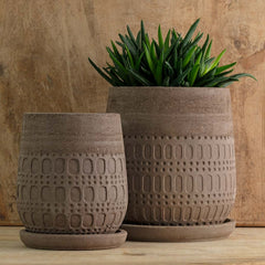 Campania Mojave Planter  Carob