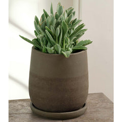 Campania Aimee Planter – Set of 4