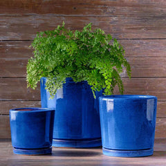 Photo of Campania I/O 2 Cylinder Planter Set of 3 - Marquis Gardens