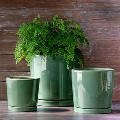 Photo of Campania I/O 2 Cylinder Planter Set of 3 - Marquis Gardens