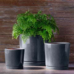 Photo of Campania I/O 2 Cylinder Planter Set of 3 - Marquis Gardens