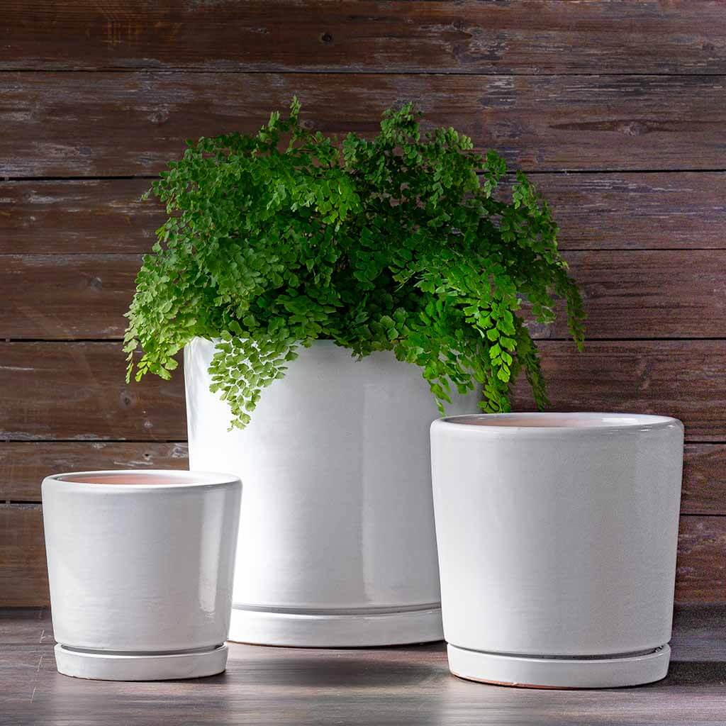 Photo of Campania I/O 2 Cylinder Planter Set of 3 - Marquis Gardens