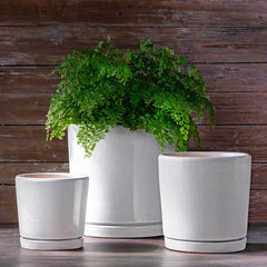Photo of Campania I/O 2 Cylinder Planter Set of 3 - Marquis Gardens