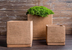 Photo of Campania I/O Series Cube Set of 3 - Marquis Gardens