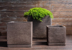 Photo of Campania I/O Series Cube Set of 3 - Marquis Gardens