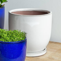 Campania I/O Series Cup Set of 6